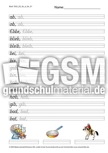 DSS_2S_Bu_b_Nr_01.pdf